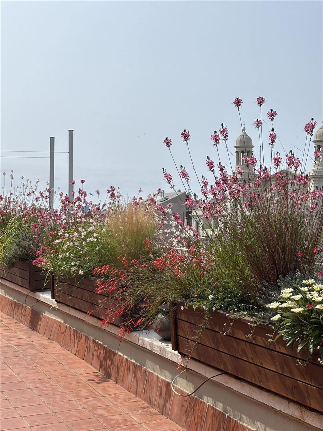 Àtic al passeig de Sant Joan — Tropios Gardens