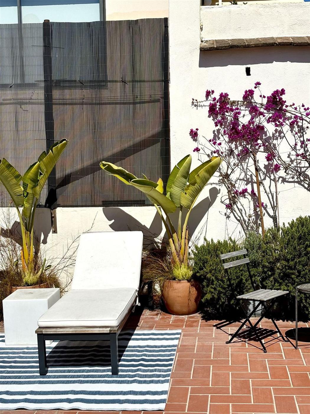 Jardí a Casanova · Diagonal — Tropios Gardens