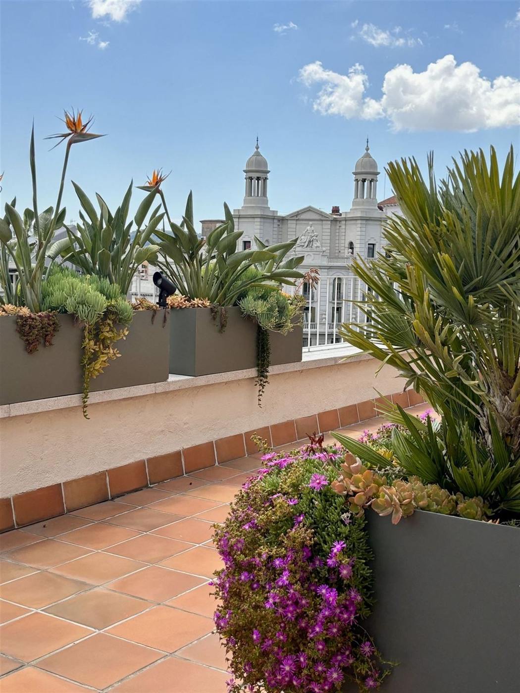 Àtic a la Diagonal — Tropios Gardens