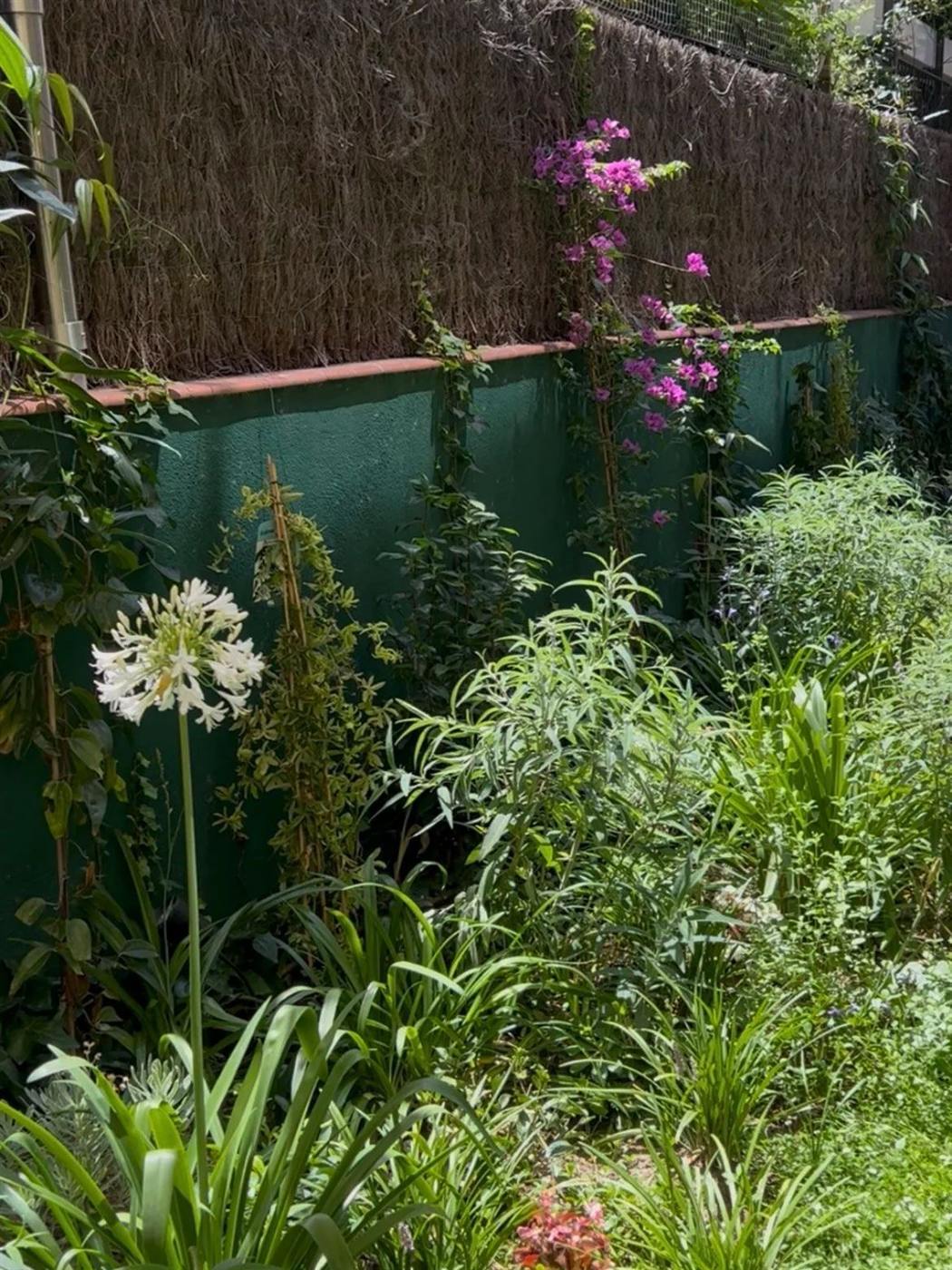 Jardí a les Tres Torres — Tropios Gardens