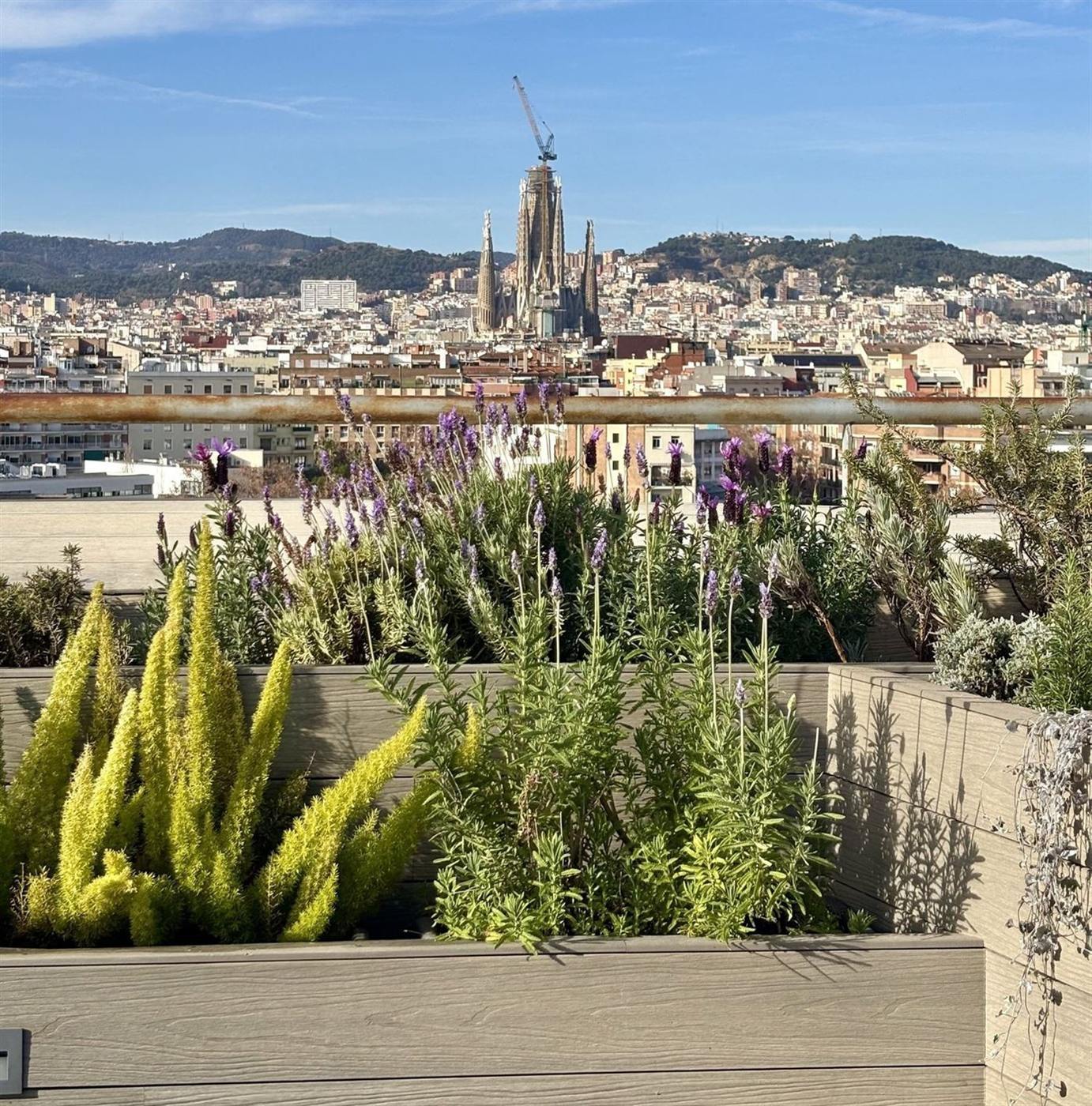 Jardí al carrer Marina — Tropios Gardens