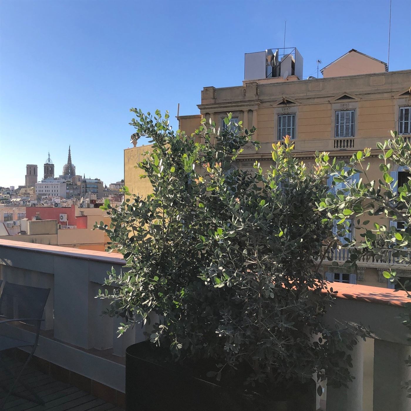 Terrassa al costat del Mercat del Born — Tropios Gardens